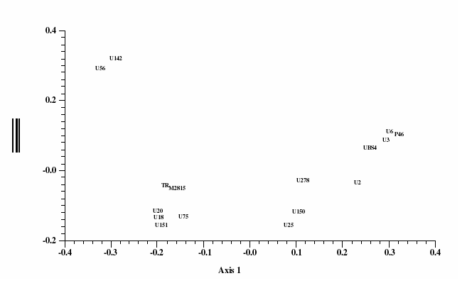 Textual map